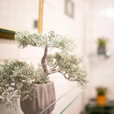 Free Parking - Little Urban Hideaway - Wifi, Ac Apartment